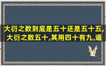 大衍之数到底是五十还是五十五,大衍之数五十,其用四十有九,遁去其一 留一线生机